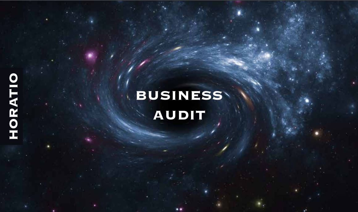Business Audit